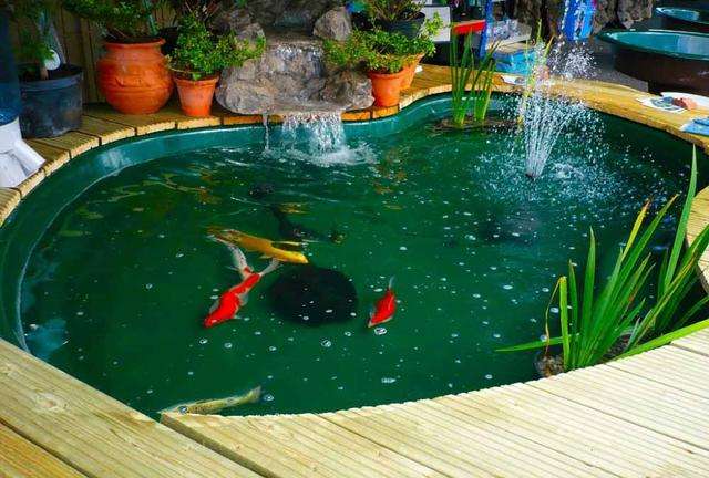 庭院鱼池禁忌风水图片