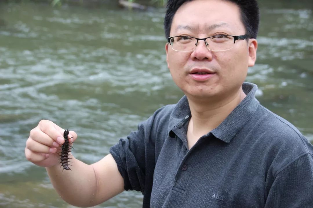 【人物特写】曹成全的"昆虫记"_爬沙虫