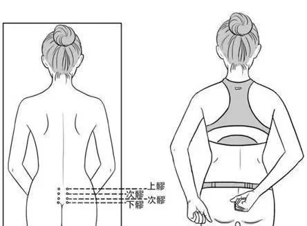 女性腰骶部位置图图片图片