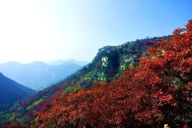 临朐火山口地质公园图片