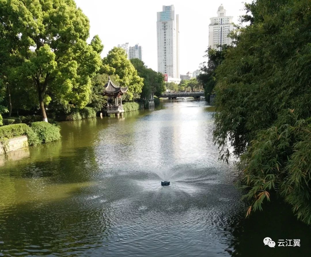 莘塍曹村錦湖這些地方的河道大變樣你發現了嗎