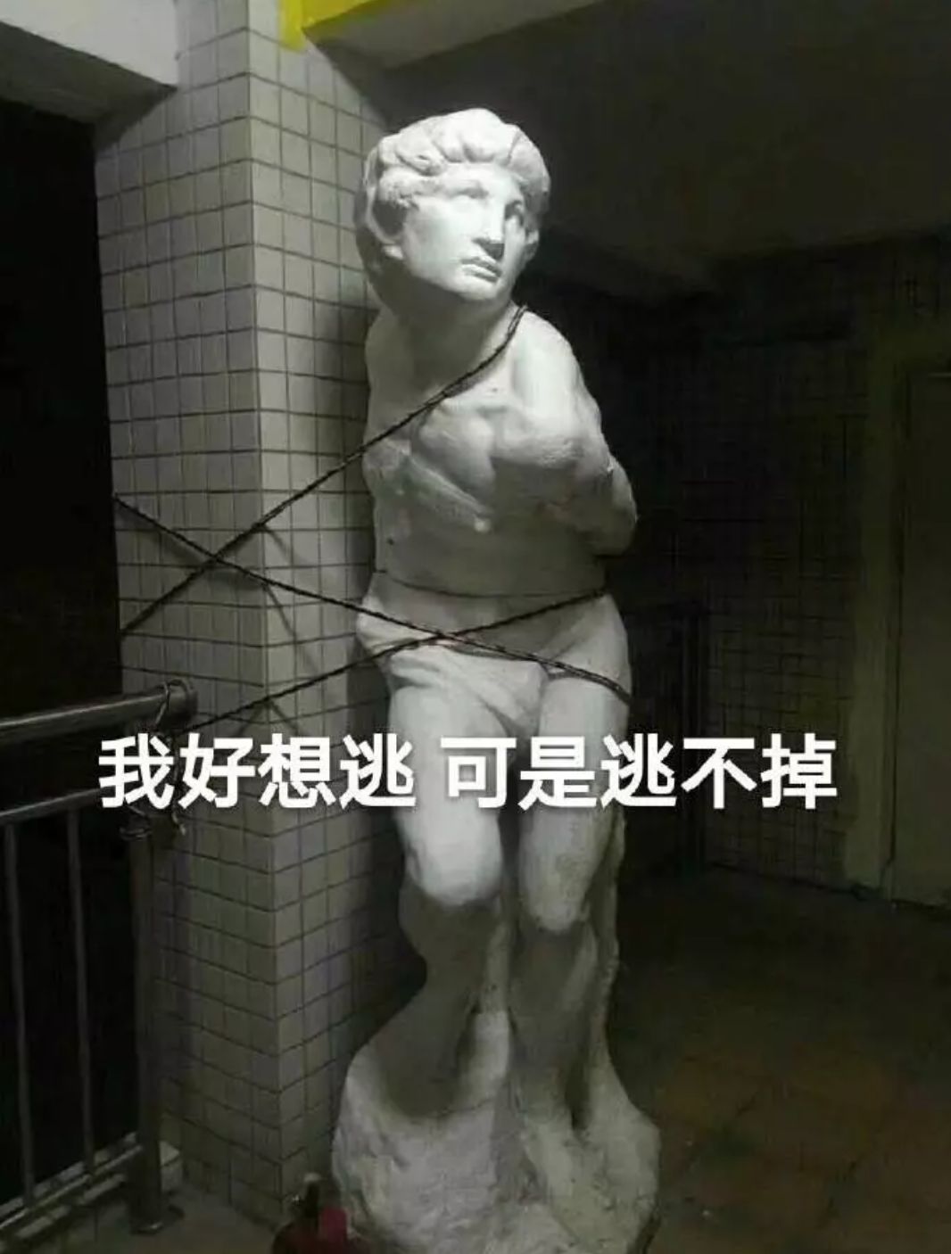 女生宿舍楼门口食堂图书馆操场大型屠狗现场尤其以下地点饶过狗命劳烦