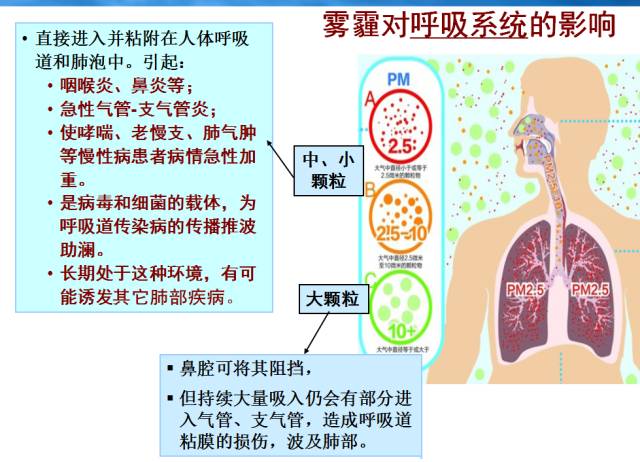 科普 