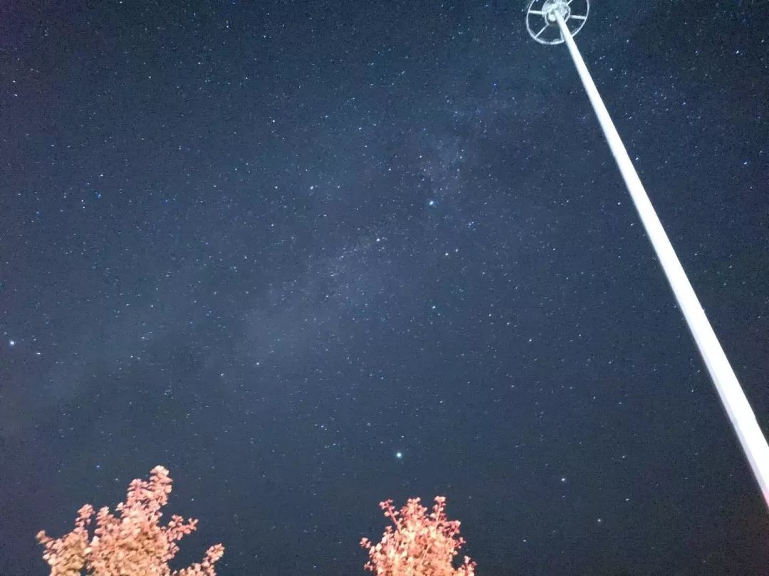 社團招新夜空中最亮的星你是否看清