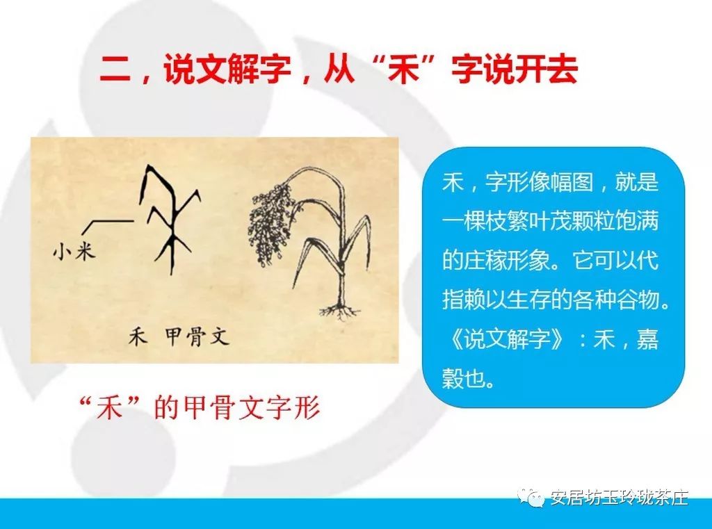 禾字演变过程图片