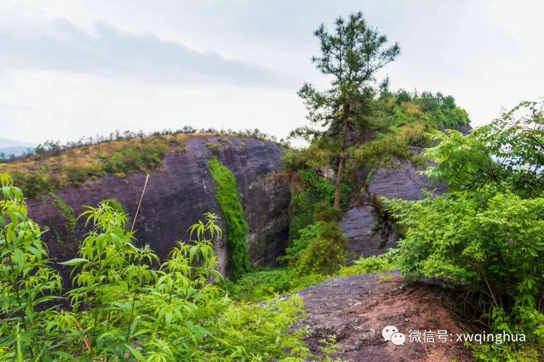 客家尋烏尋烏八景之一石傘標英盤龍寨之行