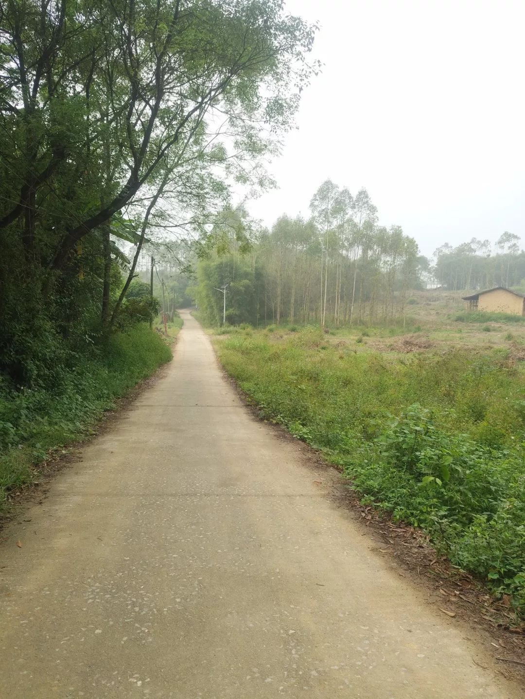 炉头村窄路基路面拓宽改造(y515线台面至电厂k0 000