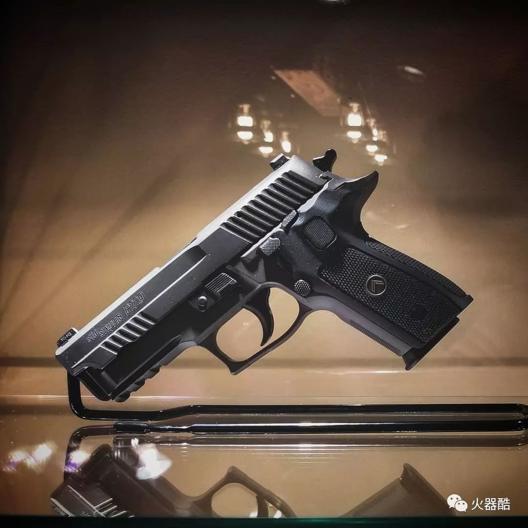 便携紧凑西格绍尔公司sigp229手枪图集