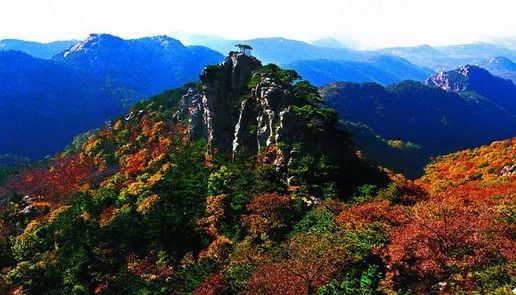 臨沂再被《農民日報》頭版報道,看紅色文化如何助力沂蒙發展