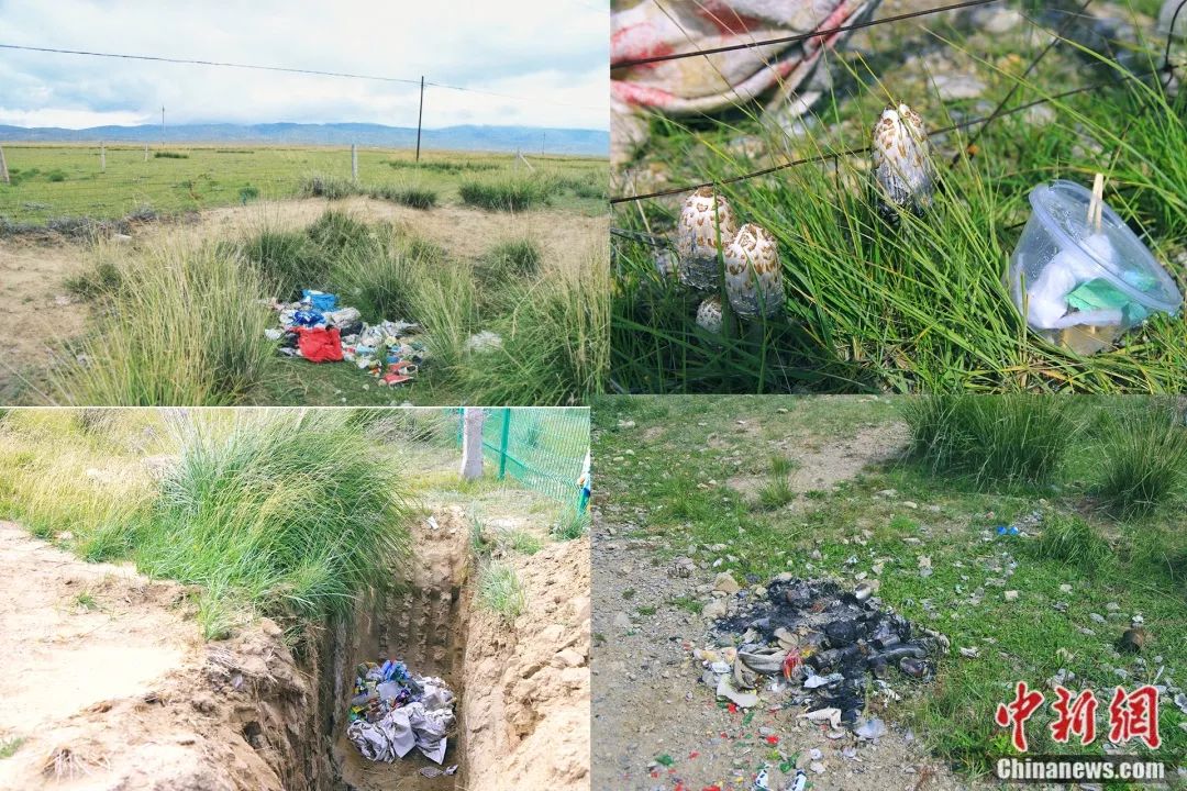 青海湖風光 梁凱 攝藍天白雲下的碧波青海湖,綿延的草原和皚皚雪山