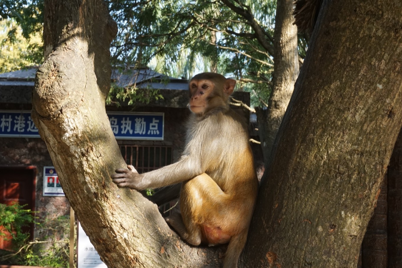 【三亞】致我與閨蜜們的分手旅行(ps:聚時一團火,散時滿天星)_ 亞龍灣