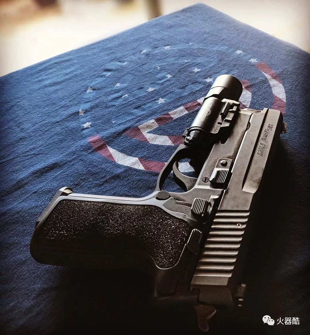 便携紧凑西格绍尔公司sigp229手枪图集