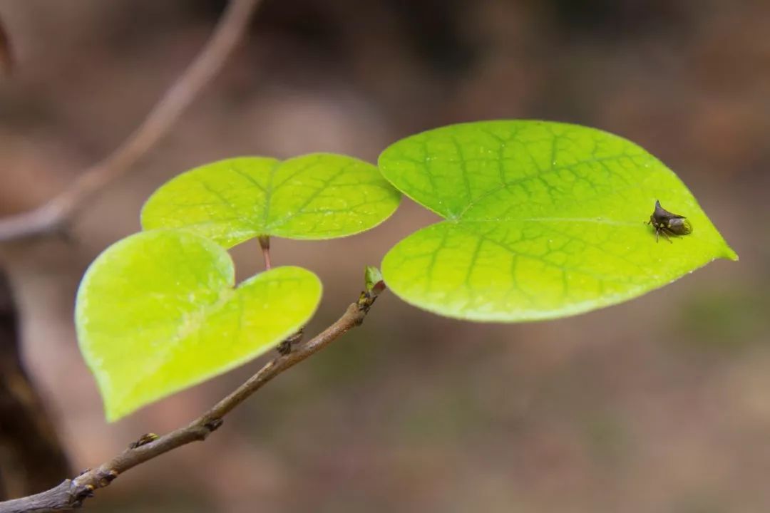 鏡頭| 在十月遇見秋天的彩色童話