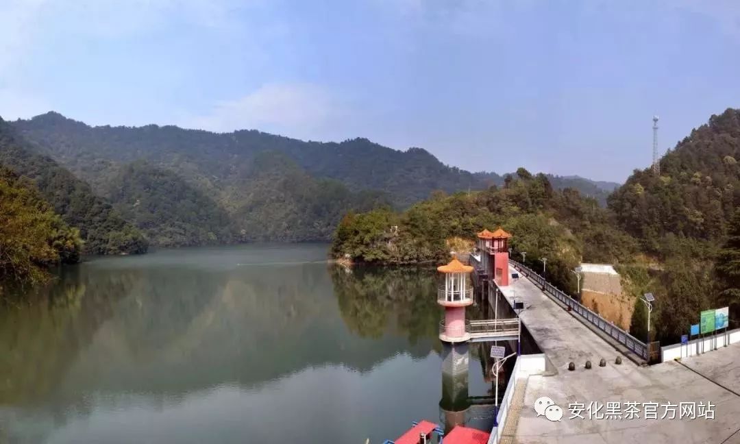 紅巖水庫辰山野生茶萬隆產業園雲臺龍泉洞彩雲之上第三屆黑茶文化節