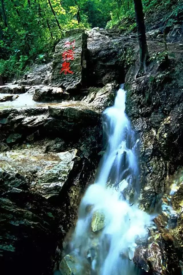 洛陽重渡溝山泉飛瀑河南最美竹林景區兩日遊攻略