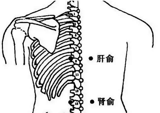 操作方法:先灸背部俞穴,每穴灸 20～30分钟.