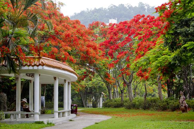 深圳游乐场东湖公园图片