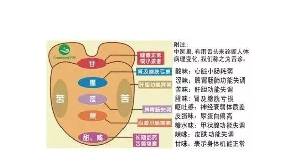 胡有宸连载伤寒论舌头痛不是背后说坏话而是暗示身体有问题