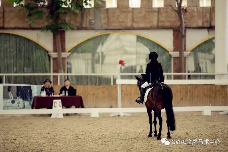 荷蘭馬術考官即將蒞臨上海gvrc協助孩子進入世界頂尖名校