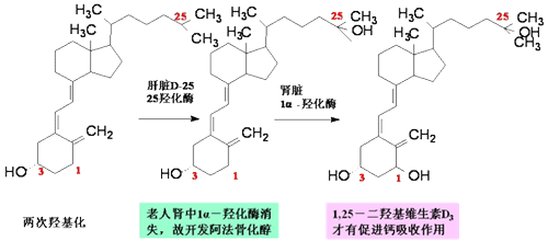 可利霉素说明书图片