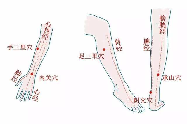 艾灸除湿气灸部位图片