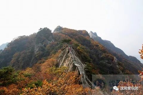 10月27日(本週六) 鳳凰山_丹東