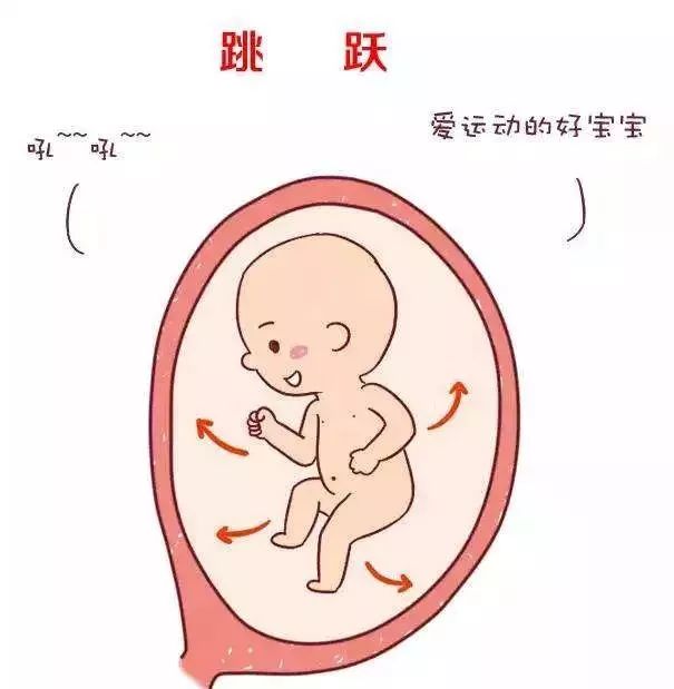 胎动位置图图片