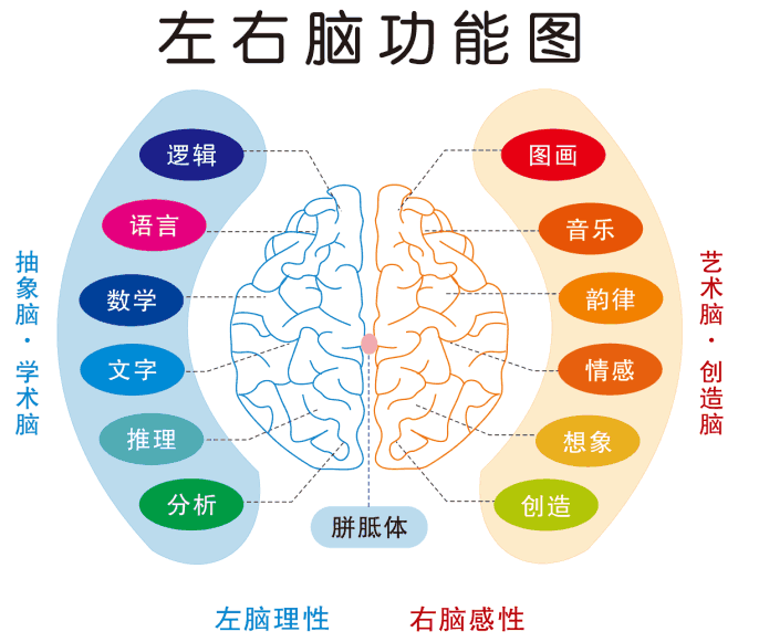 全脑潜能开发发展史, 全脑教育行业趋势