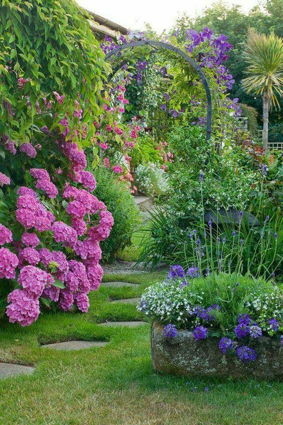 想要一个院子,与花相伴,真好