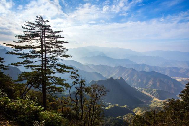 大明山牵牛岗图片