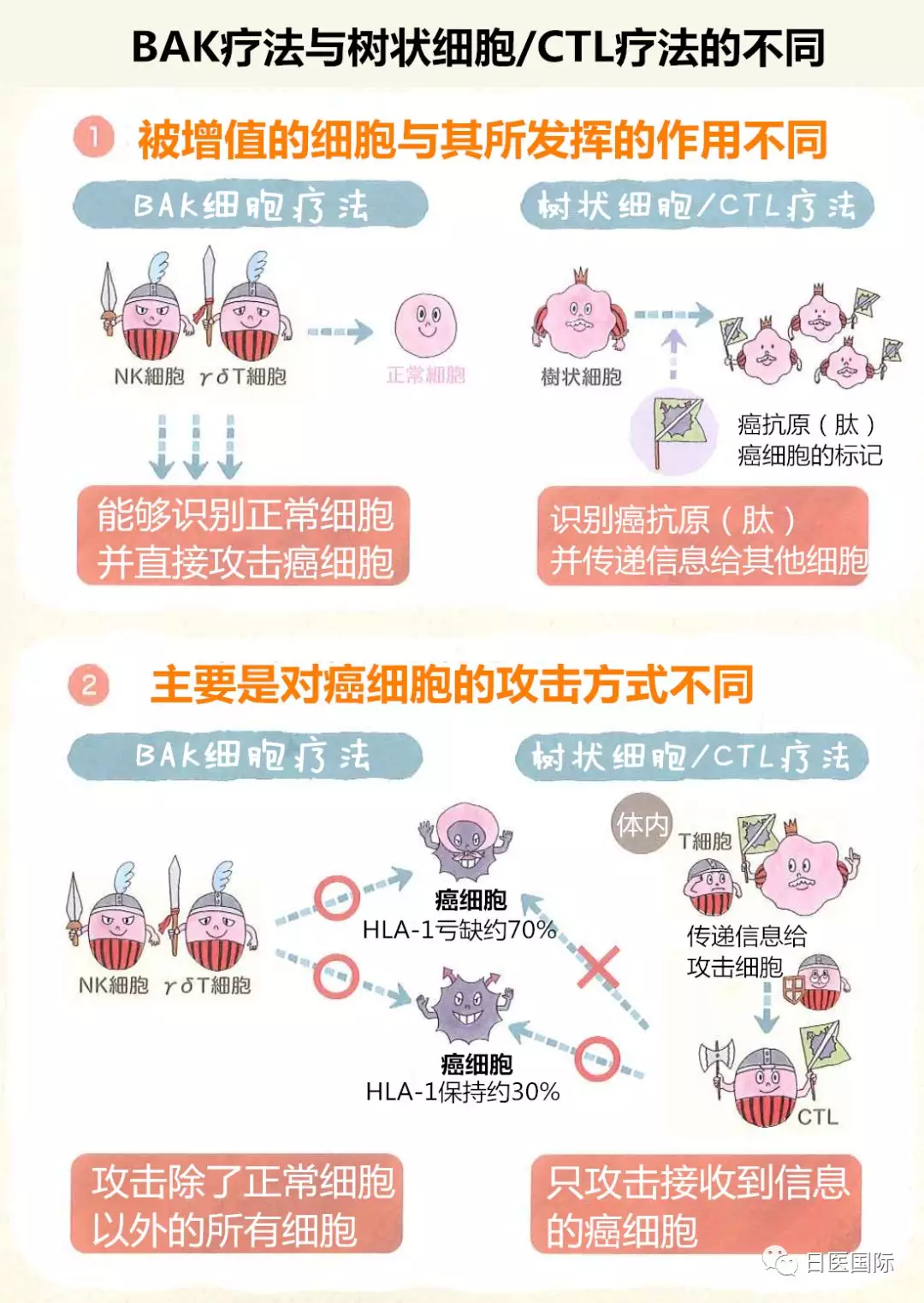 解读日本新获诺贝尔奖的癌症免疫细胞疗法到底是什么