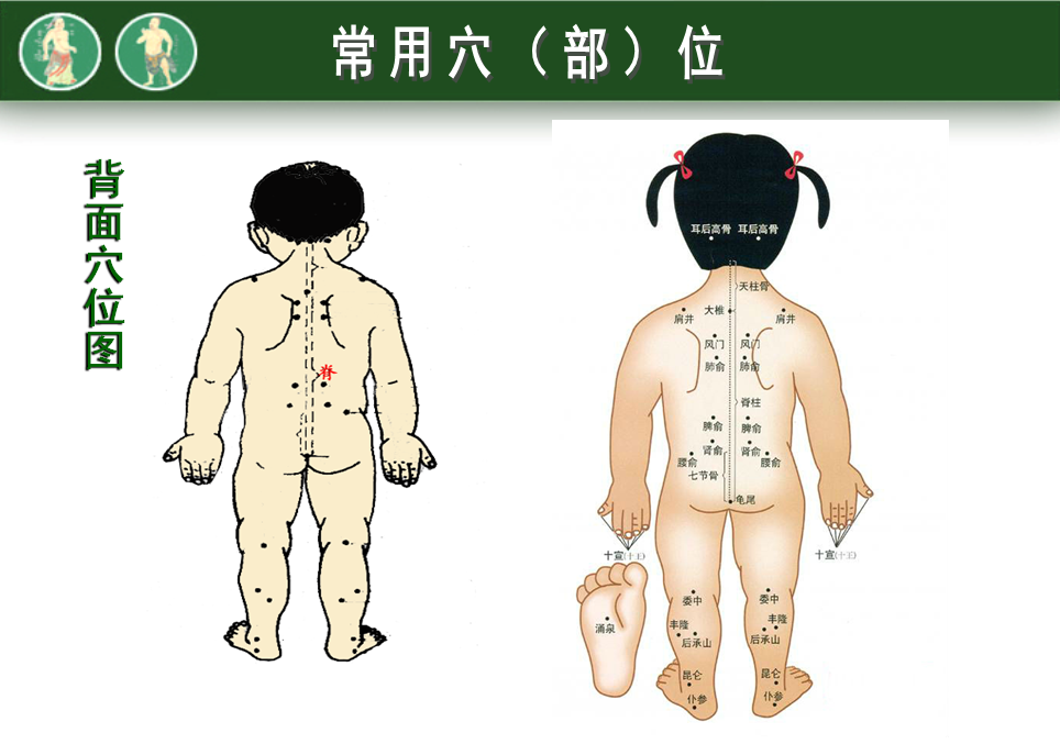 儿童人体常用穴位图都学习一下