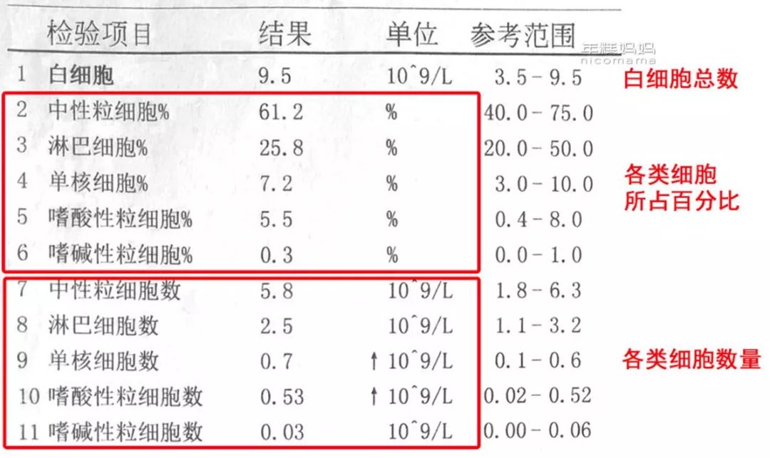 寶寶有沒有貧血,看這個最簡單