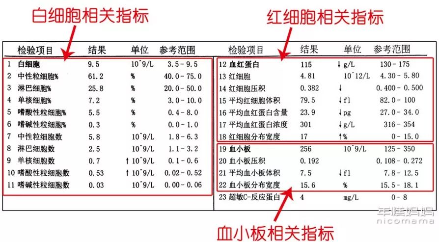 宝宝有没有贫血,看这个最简单