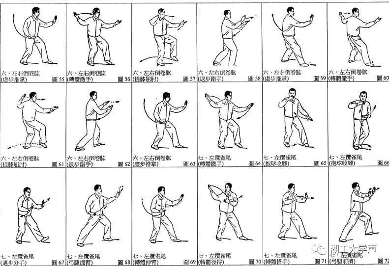 十六式太极拳步法图片