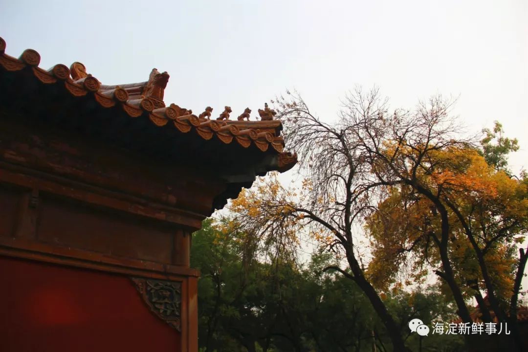 漫谈畅春园恩佑寺与恩慕寺