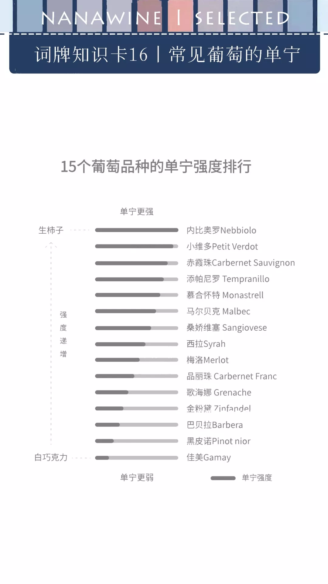 卢迪の葡萄酒私教课—单宁