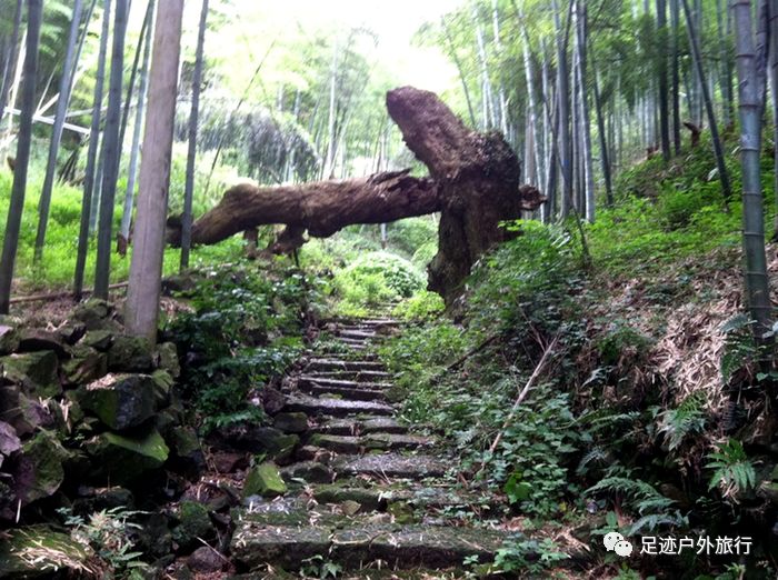 新昌的交通要道,從上灶村起始,到青壇村結束,由日鑄嶺,萬壽山,陶晏嶺