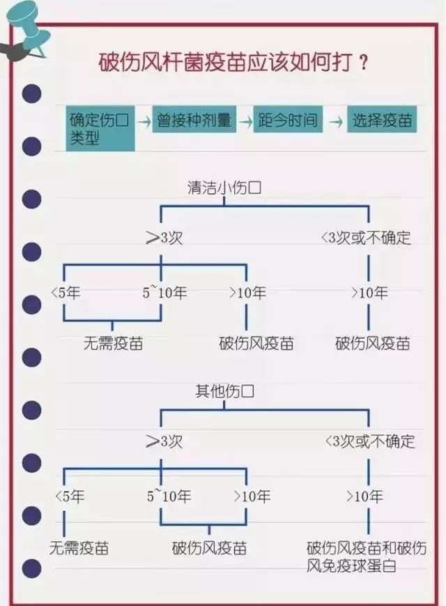 破伤风针多少小时内打图片