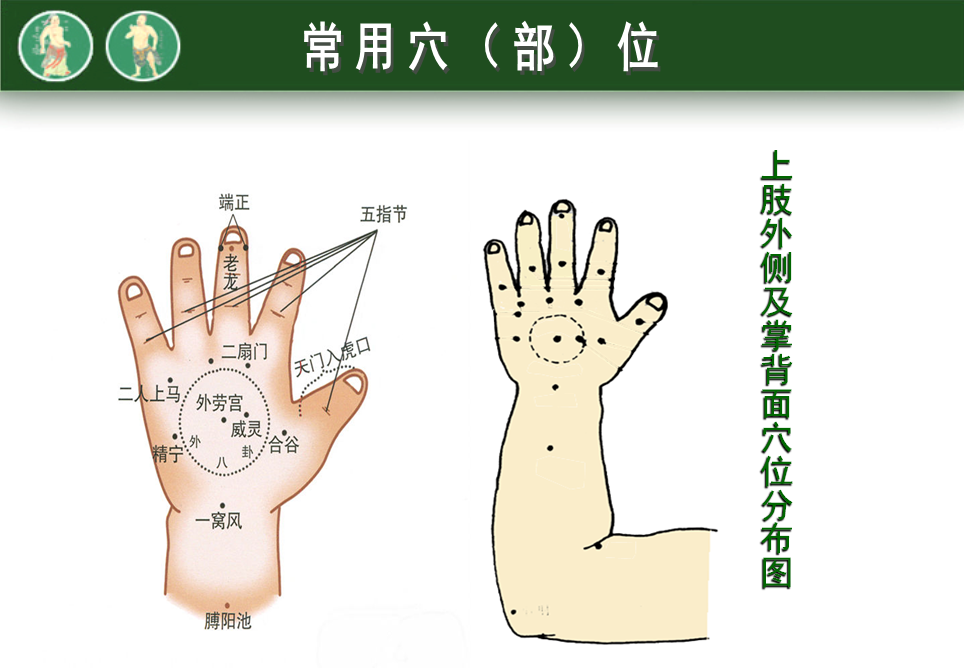 儿童人体常用穴位图都学习一下