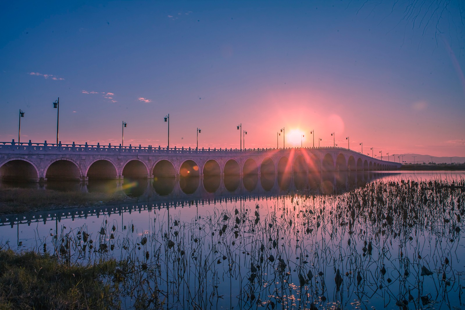 芜湖奎湖湿地公园二期图片
