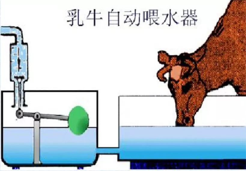 乳牛自动喂水器的原理图片