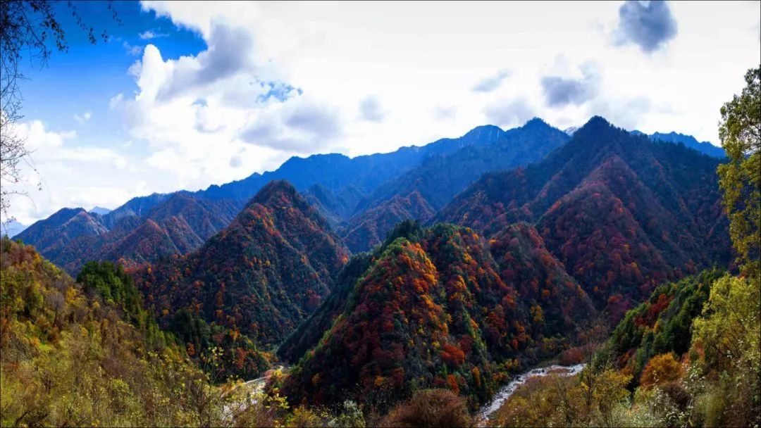 山頂可俯視甘肅白水江自然保護區和唐家河自然保護區連綿起伏的群山