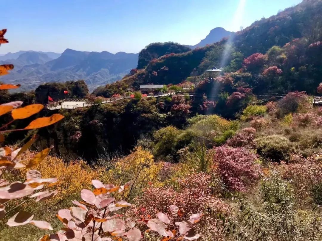 平山秋遊打卡| 紅崖谷的滿山秋葉正當時