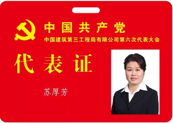 党代表代表证图片