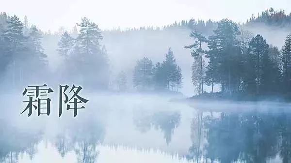 霜降:日月流迈不相饶|我们的节气_草木