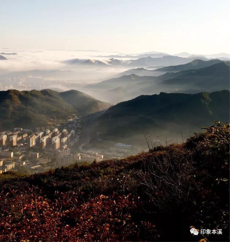 憶往事平頂山森林公園初建時