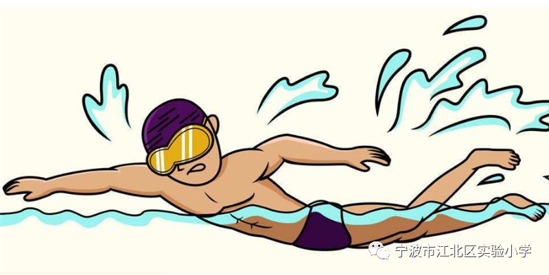 奥运游泳 卡通图片
