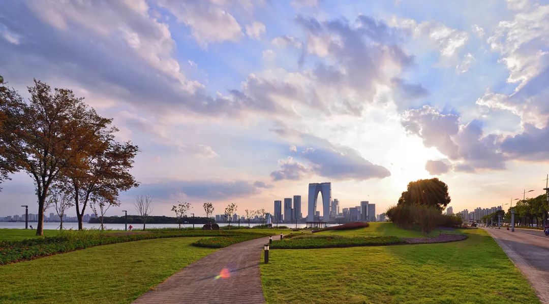 苏州河沿岸绿地景观图片