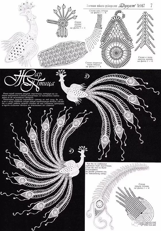 孔雀花编织法图片